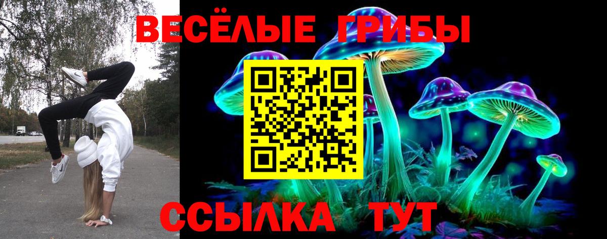 Ростов Великий  Псилоцибиновые грибы ЛСД  Галлюциногенные грибы GOLDEN TEACHER  Вход с VPN 